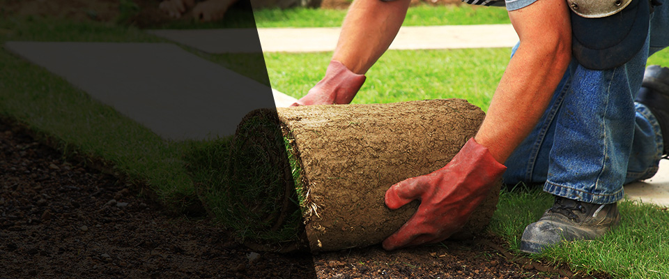 Pittston Landscapers